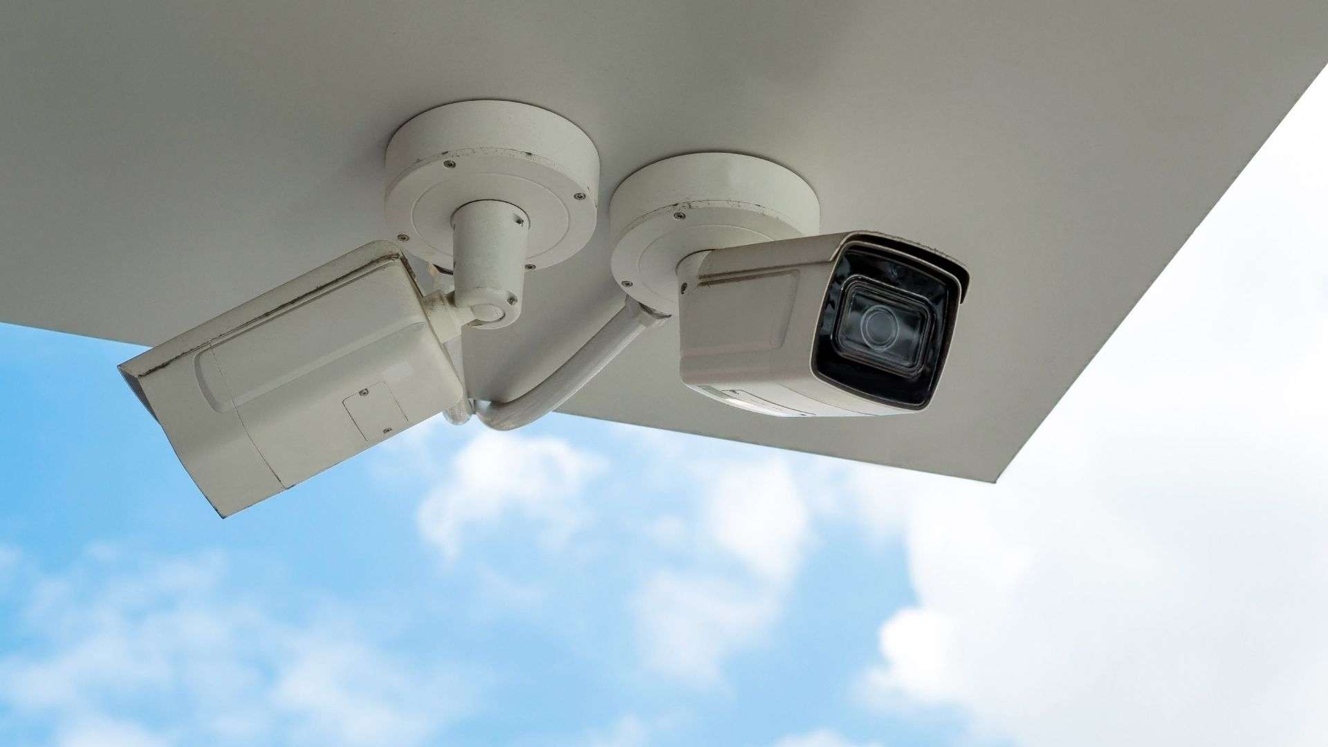 WhatsApp Image 2025 02 25 at 7.31.38 PM