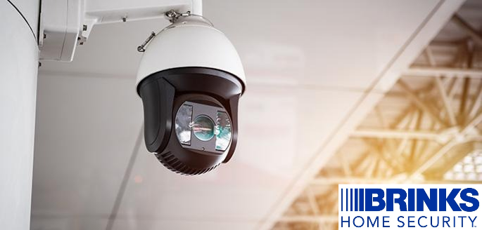 a01dc29d 5131 7dbd 61d8 1161714038be